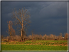 foto Paesaggi Autunnali tra le Colline 